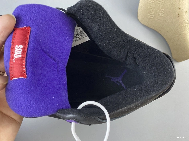 Air “Court 3  Purple” Jordan CT8532-050 0401